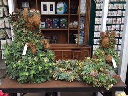Mission Hills Nursery